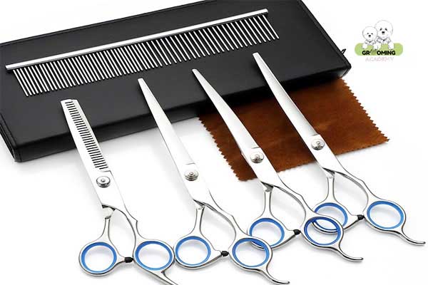 Bộ kéo cắt tỉa lông cho cún cưng Bộ kéo cắt tỉa lông cho cún cưng