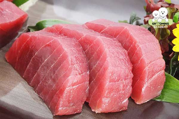 Bổ sung dinh dưỡng cần thiết cho mèo