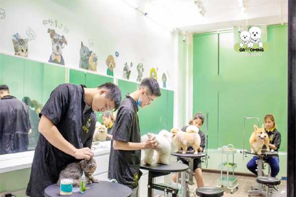 Đội ngũ nhân viên chăm sóc thú cưng tại Kimipet Đội ngũ nhân viên chăm sóc thú cưng tại Kimipet
