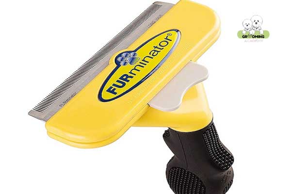 Lược Furminator gỡ rối lông Poodle hiệu quả Lược Furminator gỡ rối lông Poodle hiệu quả