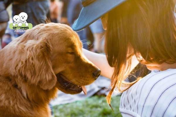 Tạo cảm giác gần gũi với chó của mình Tạo cảm giác gần gũi với chó của mình