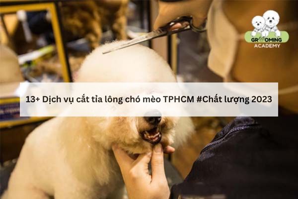 Địa chỉ cắt tỉa lông chó giá rẻ TPHCM Địa chỉ cắt tỉa lông chó giá rẻ TPHCM