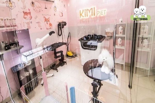 Dịch vụ Spa tại Kimi Pet Dịch vụ Spa tại Kimi Pet