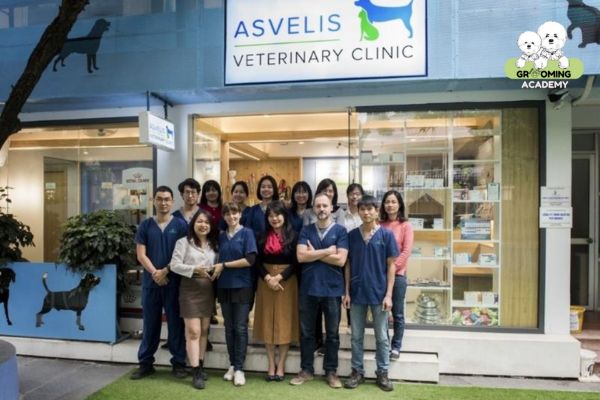 Đội ngũ nhân viên Asvelis Đội ngũ nhân viên Asvelis