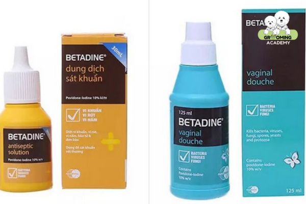 Dùng thuốc Betadine là cách trị nấm ở chó Poodle đơn giản nhất Dùng thuốc Betadine là cách trị nấm ở chó Poodle đơn giản nhất