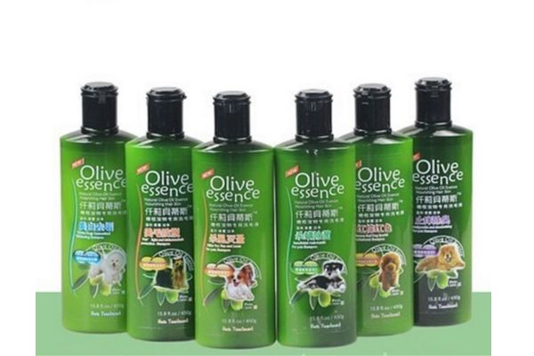 Giá bán của Olive Essence rất phải chăng Giá bán của Olive Essence rất phải chăng