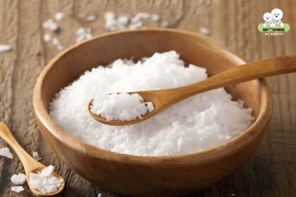 Sử dụng muối để điều trị ve chó Sử dụng muối để điều trị ve chó