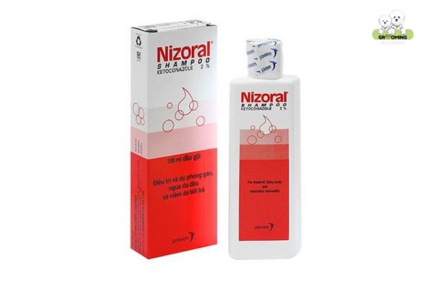 Loại thuốc Nizoral trị nấm cho mèo Loại thuốc Nizoral trị nấm cho mèo