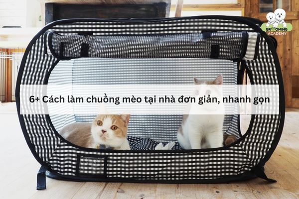 Hướng dẫn 6+ cách làm chuồng cho mèo tại nhà Hướng dẫn 6+ cách làm chuồng cho mèo tại nhà