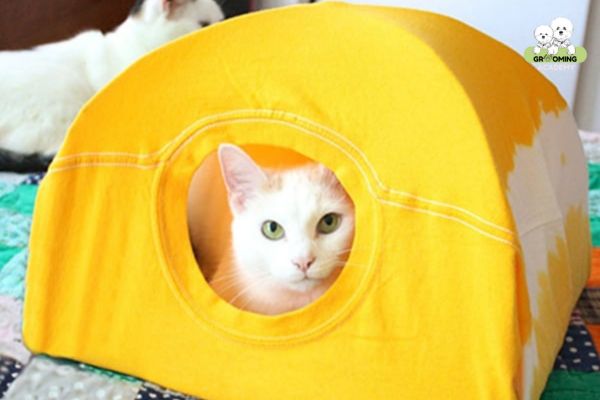 Chuồng mèo bằng móc quần áo Chuồng mèo bằng móc quần áo