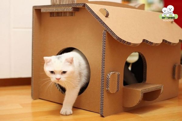 Chuồng mèo bằng thùng giấy Chuồng mèo bằng thùng giấy
