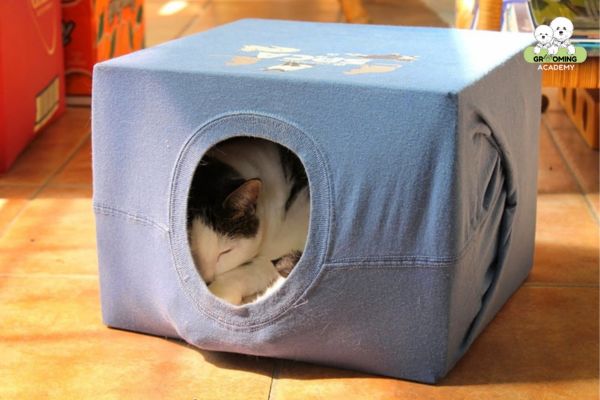 Làm chuồng cho mèo bằng quần áo Làm chuồng cho mèo bằng quần áo