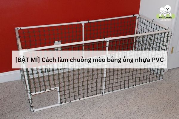 Chi tiết các bước làm chuồng cho mèo bằng ống nhựa PVC Chi tiết các bước làm chuồng cho mèo bằng ống nhựa PVC