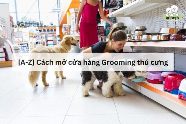 Bật mí chi phí và loạt kinh nghiệm mở cửa hàng Grooming chó mèo Bật mí chi phí và loạt kinh nghiệm mở cửa hàng Grooming chó mèo