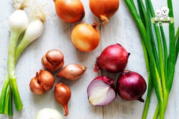 Thực phẩm kiêng kỵ đối với mèo cưng Thực phẩm kiêng kỵ đối với mèo cưng