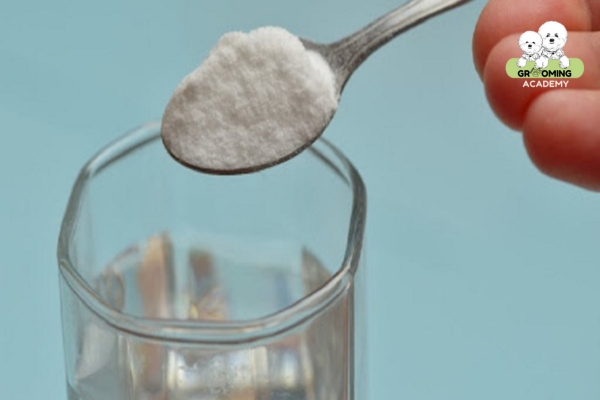 Pha nước đường cho chó bằng đường trắng Glucose